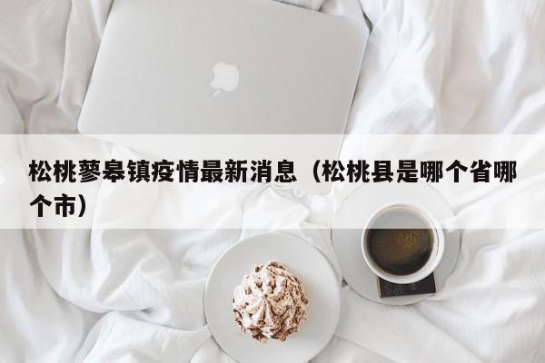 松桃蓼皋镇疫情最新消息（松桃县是哪个省哪个市）