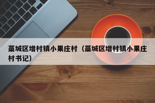 藁城区增村镇小果庄村（藁城区增村镇小果庄村书记）