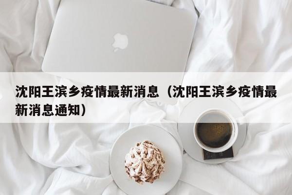沈阳王滨乡疫情最新消息（沈阳王滨乡疫情最新消息通知）