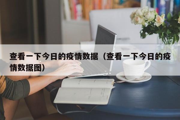 查看一下今日的疫情数据（查看一下今日的疫情数据图）