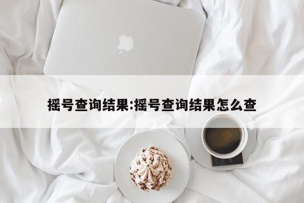 摇号查询结果:摇号查询结果怎么查