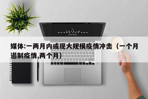媒体:一两月内或现大规模疫情冲击（一个月遏制疫情,两个月）